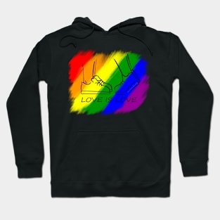 Love is Love Hoodie